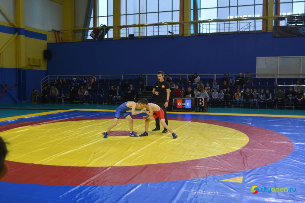 19/10/19 Командный Кубок РБ по греко-римской борьбе