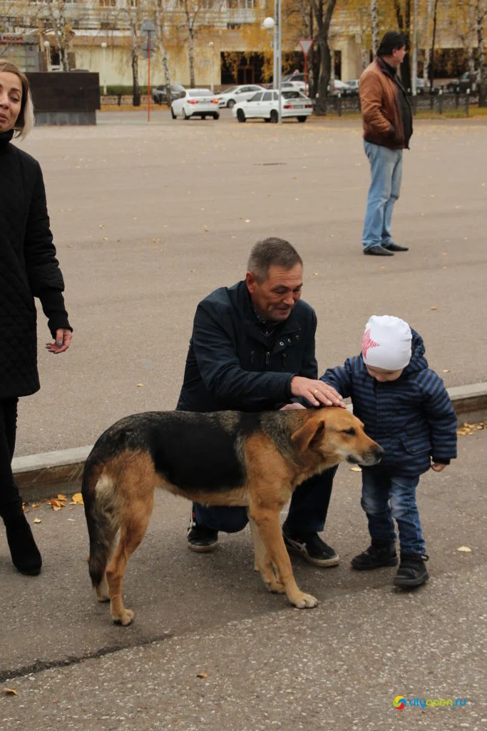 12/10/19 Закрытие мотосезона @ Стерлитамак