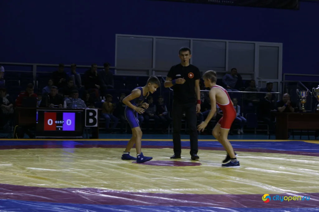 19/10/19 Командный Кубок РБ по греко-римской борьбе