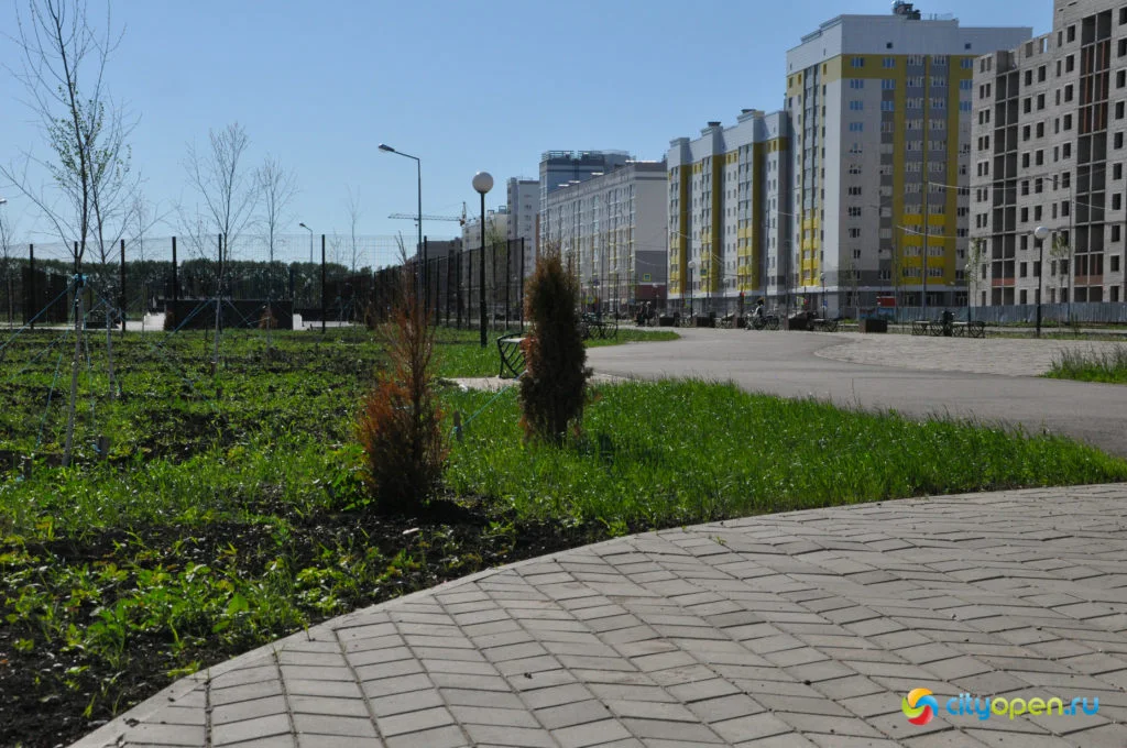 Где погулять в Стерлитамаке: аллея в продолжении проспекта Октября