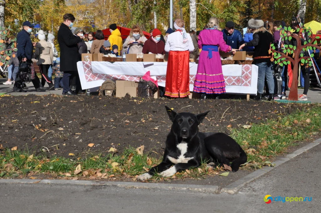 10/10/20 День Республики в парке Содовиков