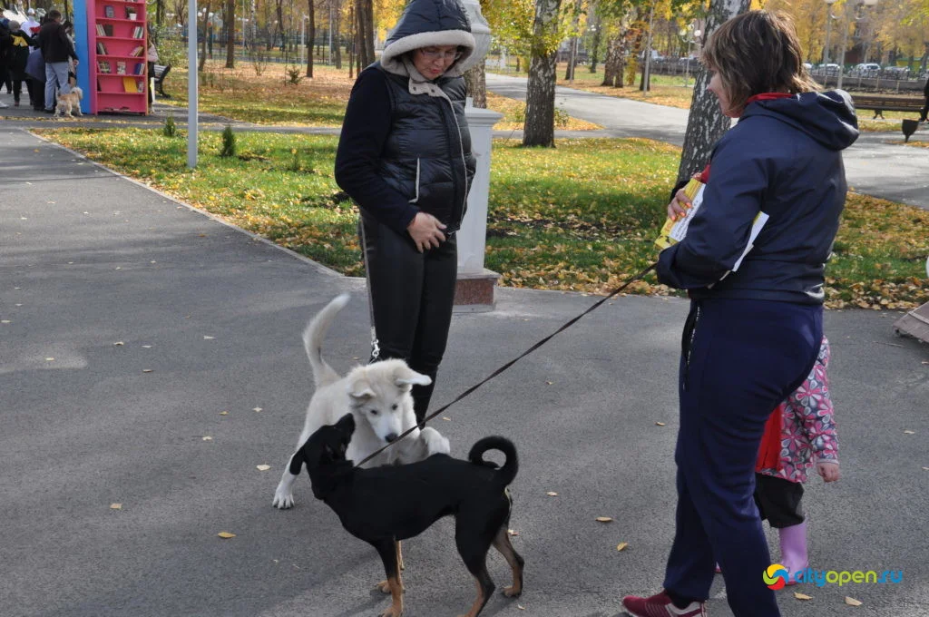10/10/20 День Республики в парке Содовиков