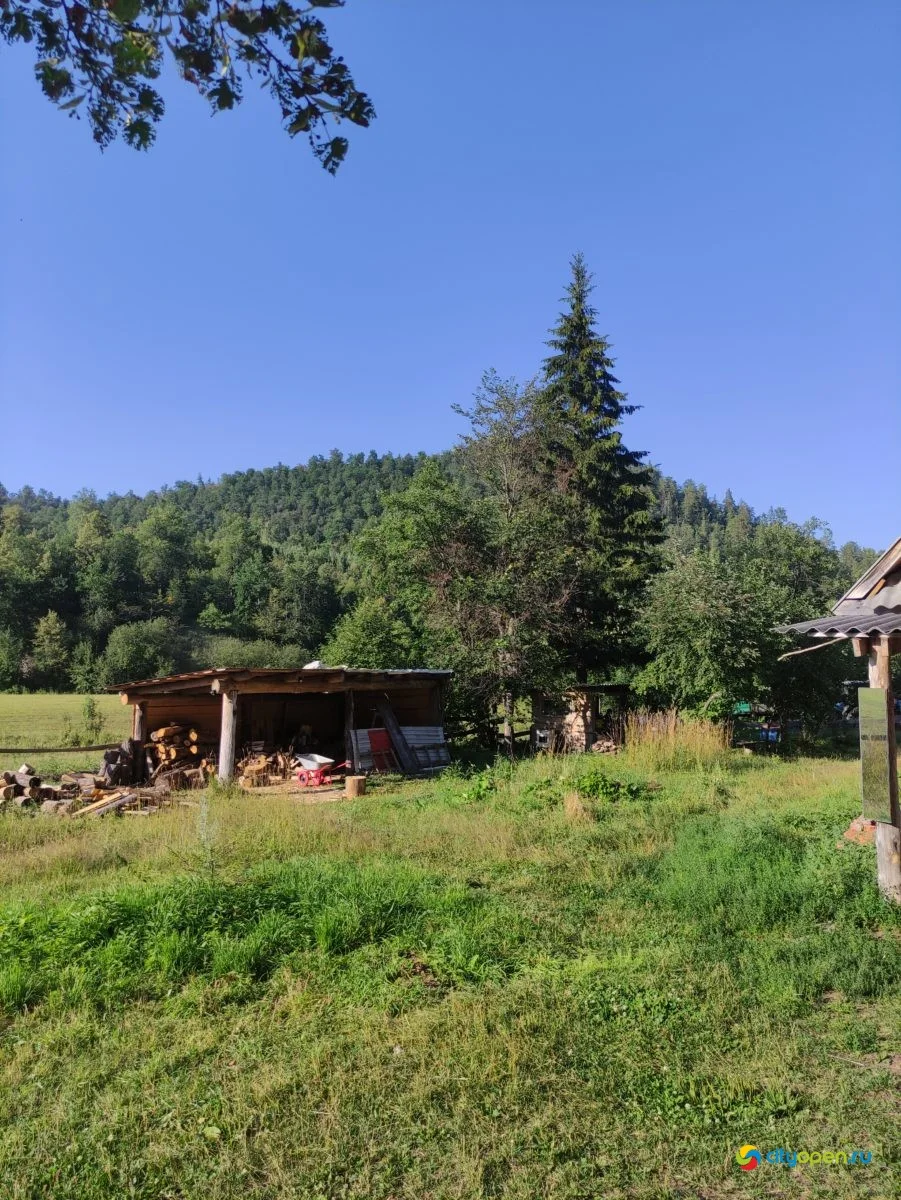 «Хижина шамана»