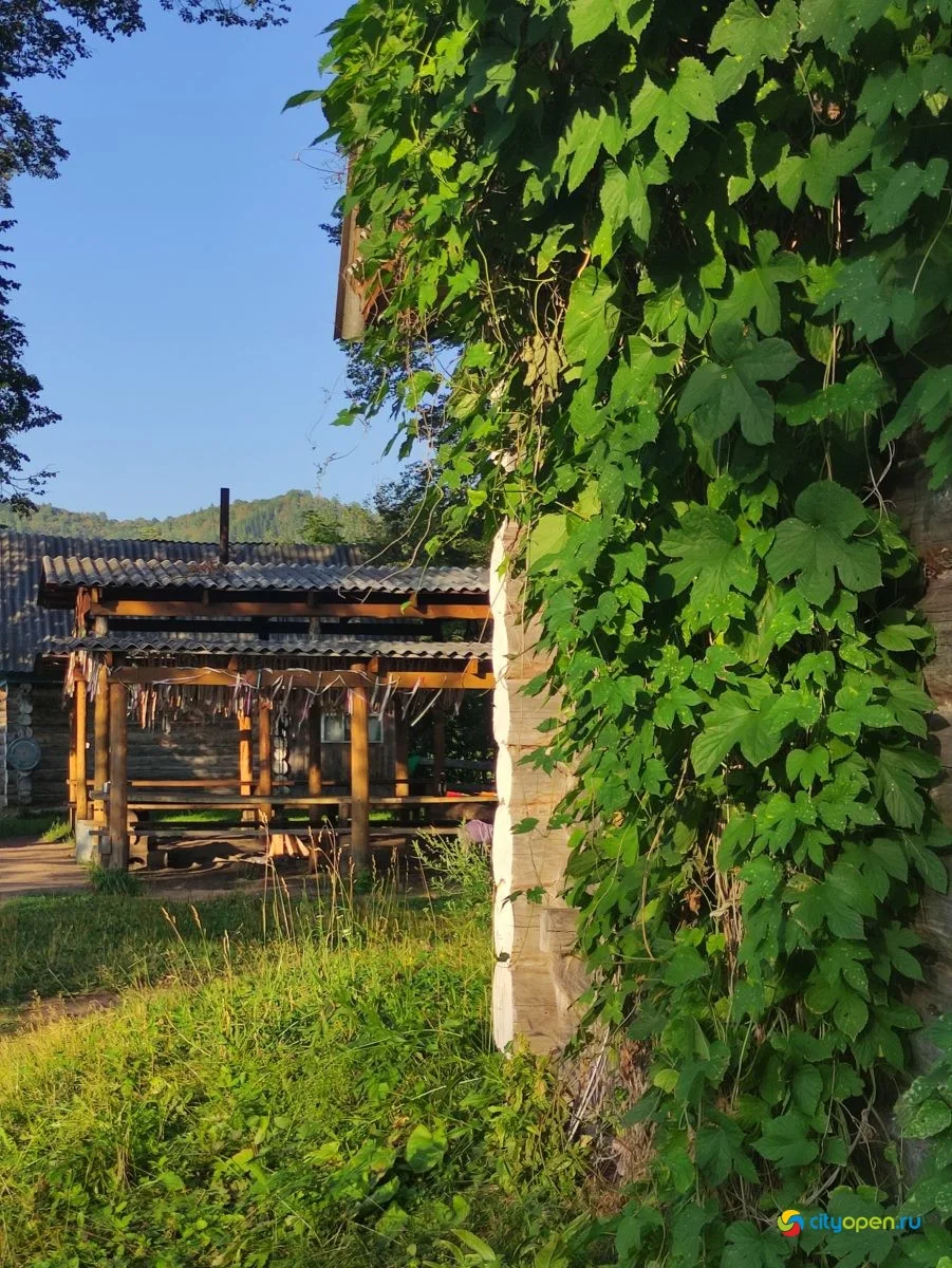 «Хижина шамана»