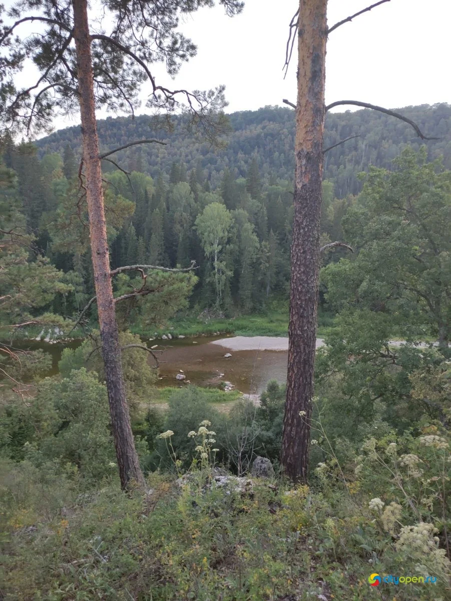 «Хижина шамана»