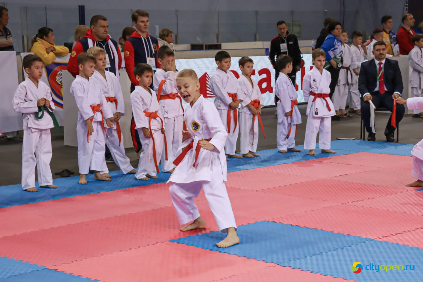 14-15/10/22 Всероссийские соревнования VIII Кубок Евразии (EurAsiaCup) по всестилевому каратэ @ Стерлитамак-Арена