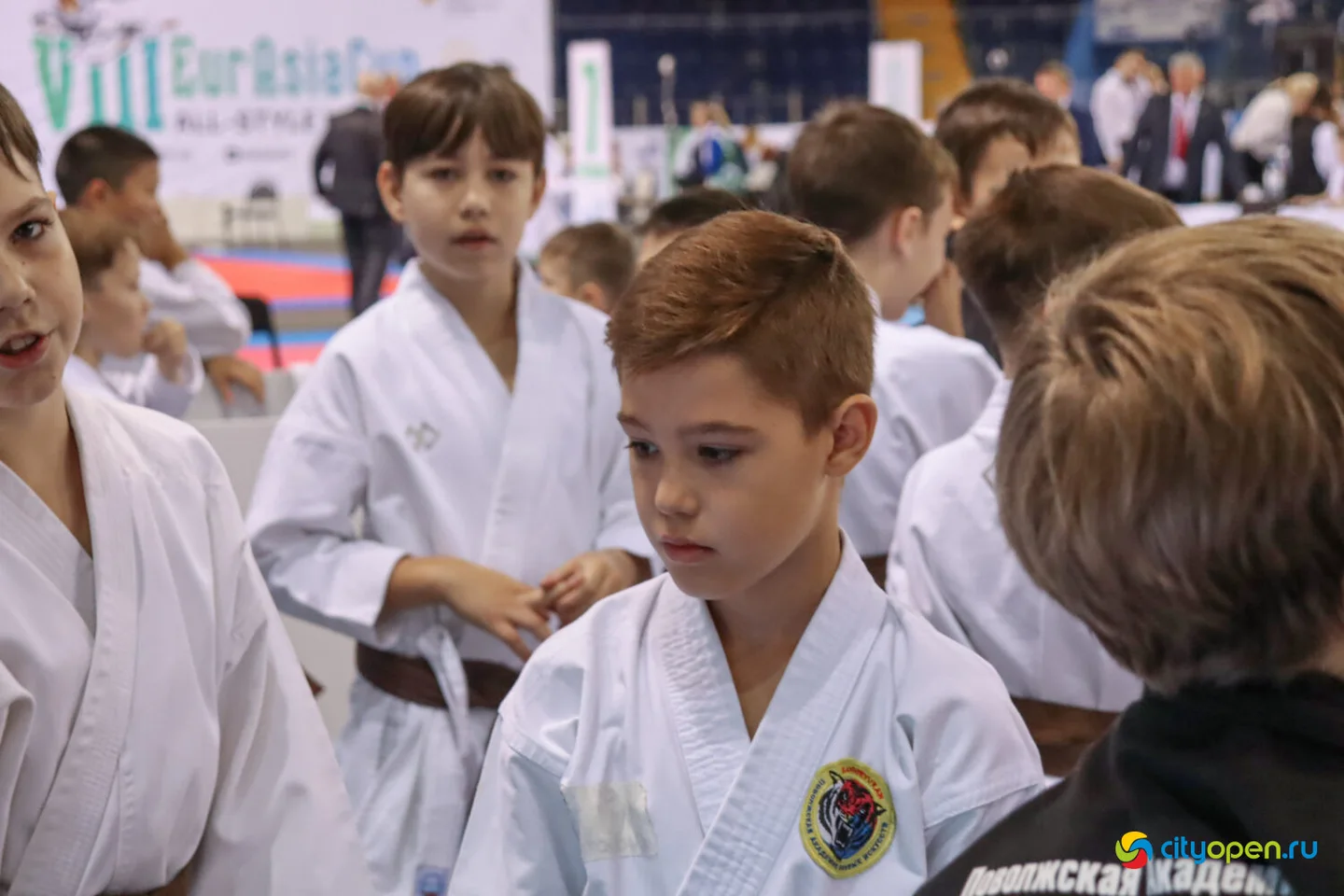 14-15/10/22 Всероссийские соревнования VIII Кубок Евразии (EurAsiaCup) по всестилевому каратэ @ Стерлитамак-Арена