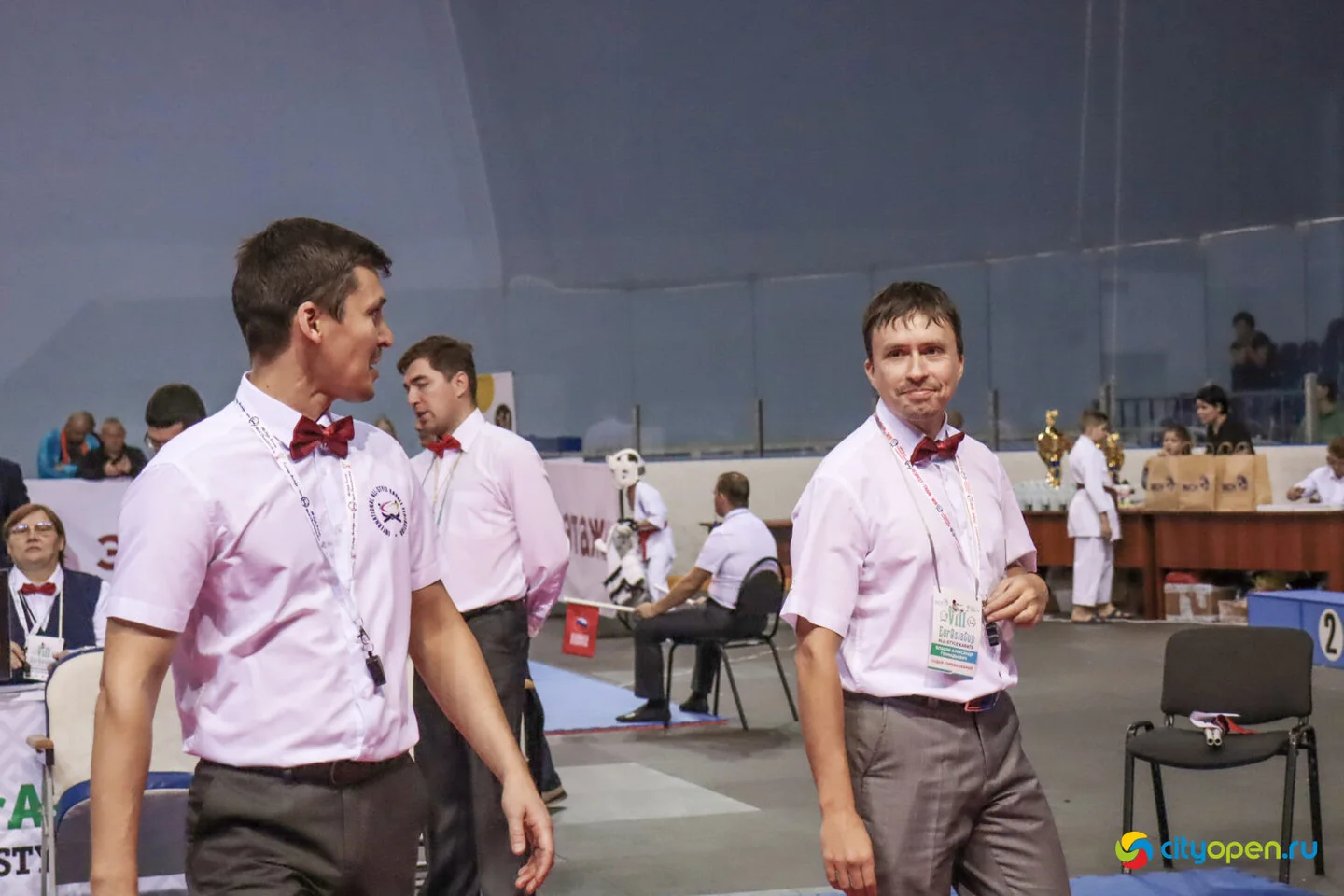 14-15/10/22 Всероссийские соревнования VIII Кубок Евразии (EurAsiaCup) по всестилевому каратэ @ Стерлитамак-Арена