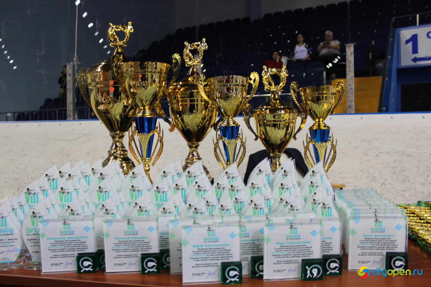 14/10/22 Всероссийские соревнования VIII Кубок Евразии (EurAsiaCup) по всестилевому каратэ | Стерлитамак-Арена | День I