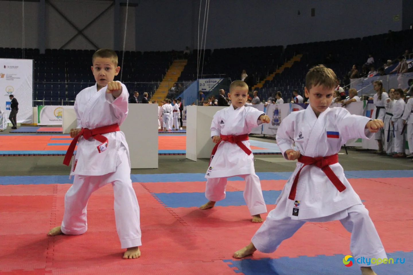 14/10/22 Всероссийские соревнования VIII Кубок Евразии (EurAsiaCup) по всестилевому каратэ | Стерлитамак-Арена | День I