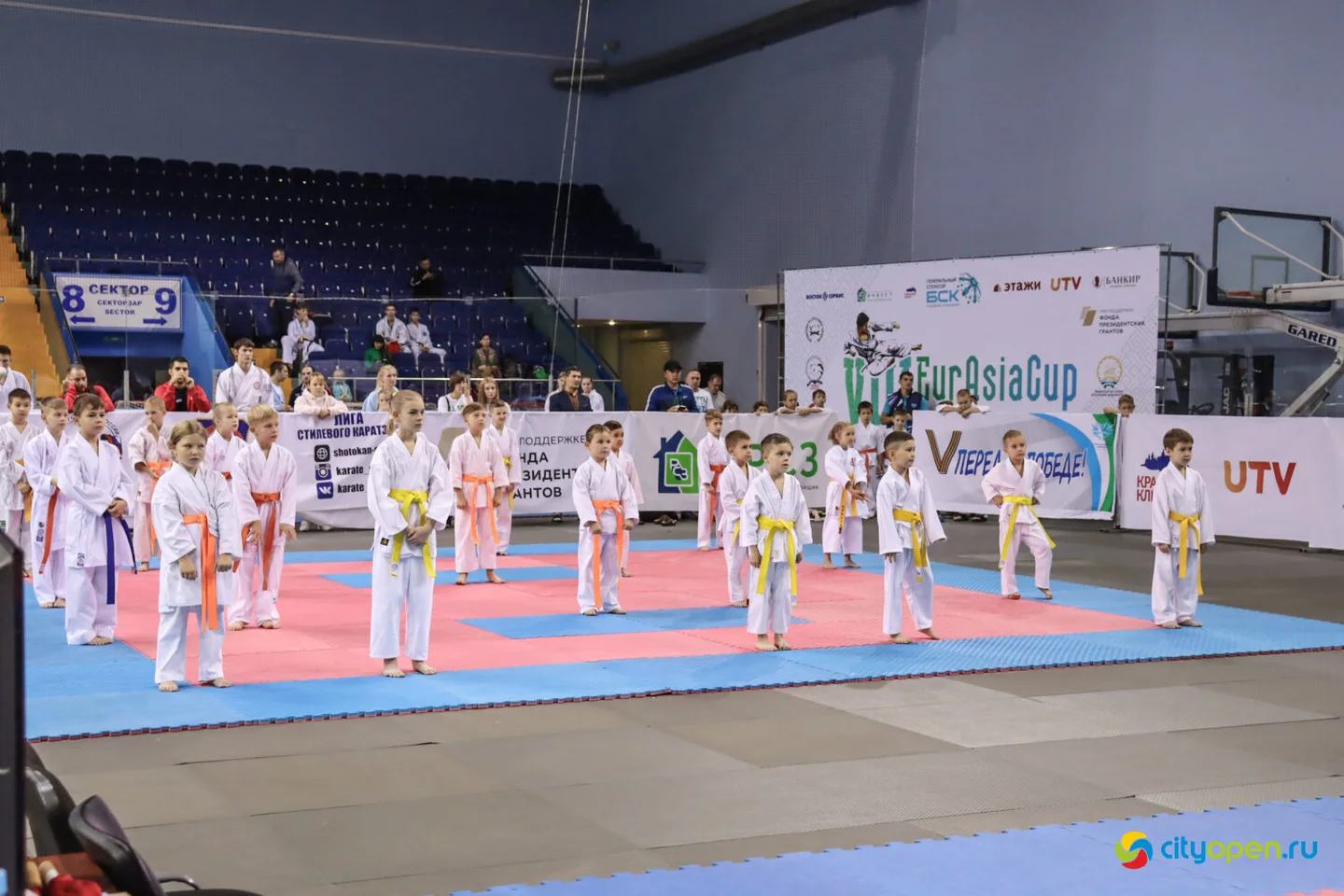 14-15/10/22 Всероссийские соревнования VIII Кубок Евразии (EurAsiaCup) по всестилевому каратэ @ Стерлитамак-Арена