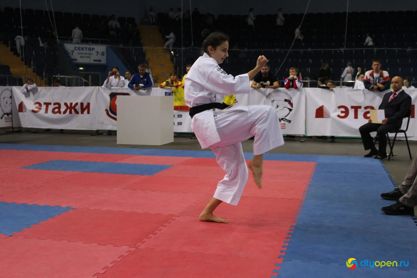 15/10/22 Всероссийские соревнования VIII Кубок Евразии (EurAsiaCup) по всестилевому каратэ | Стерлитамак-Арена | День II