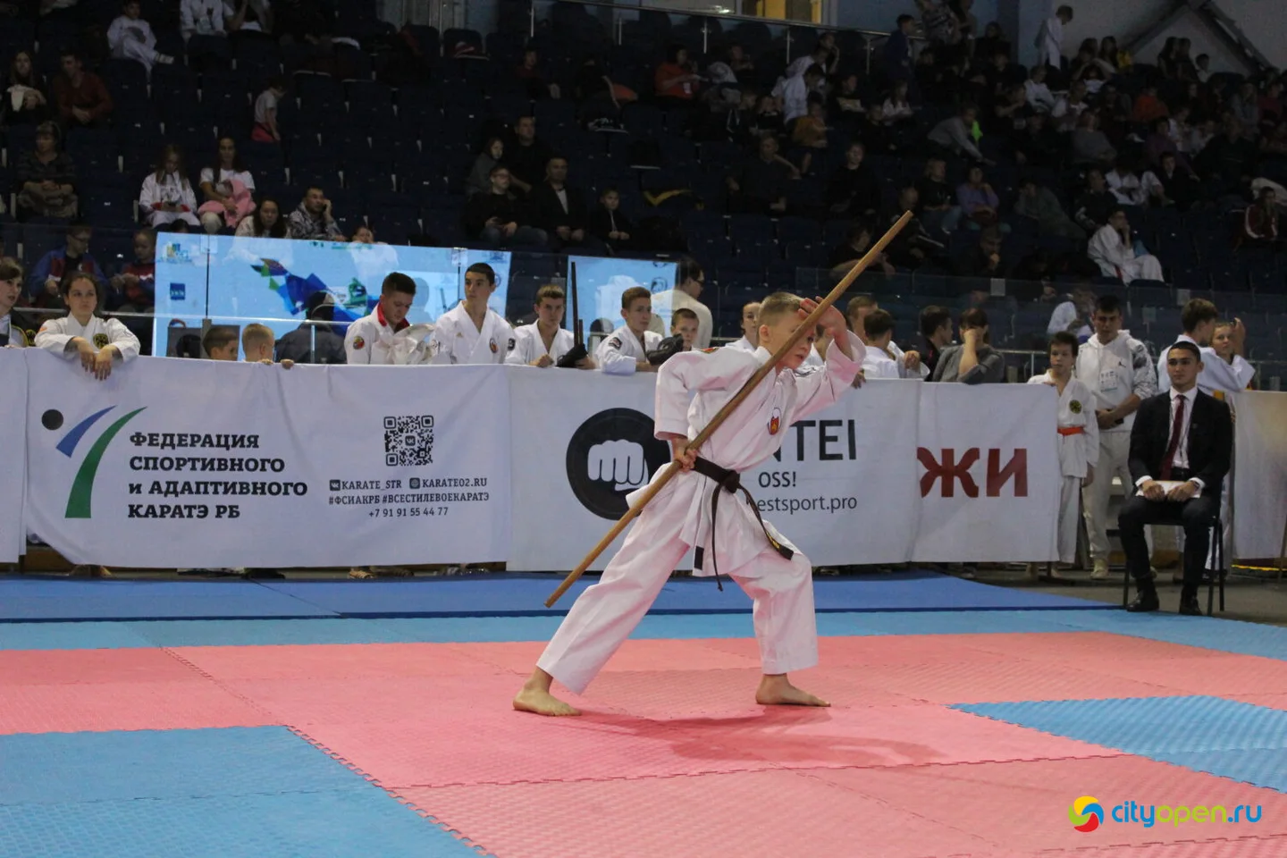 14/10/23 Международные соревнования по всестилевому каратэ IX EurAsiaCup | «Стерлитамак-Арена»