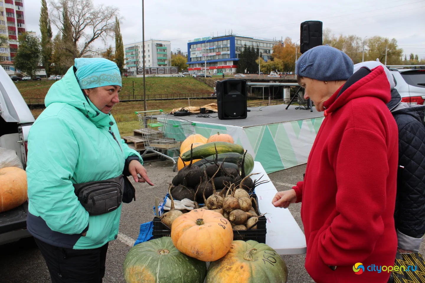 11/10/24 Всероссийская ярмарка в Стерлитамаке | FRESH-базар
