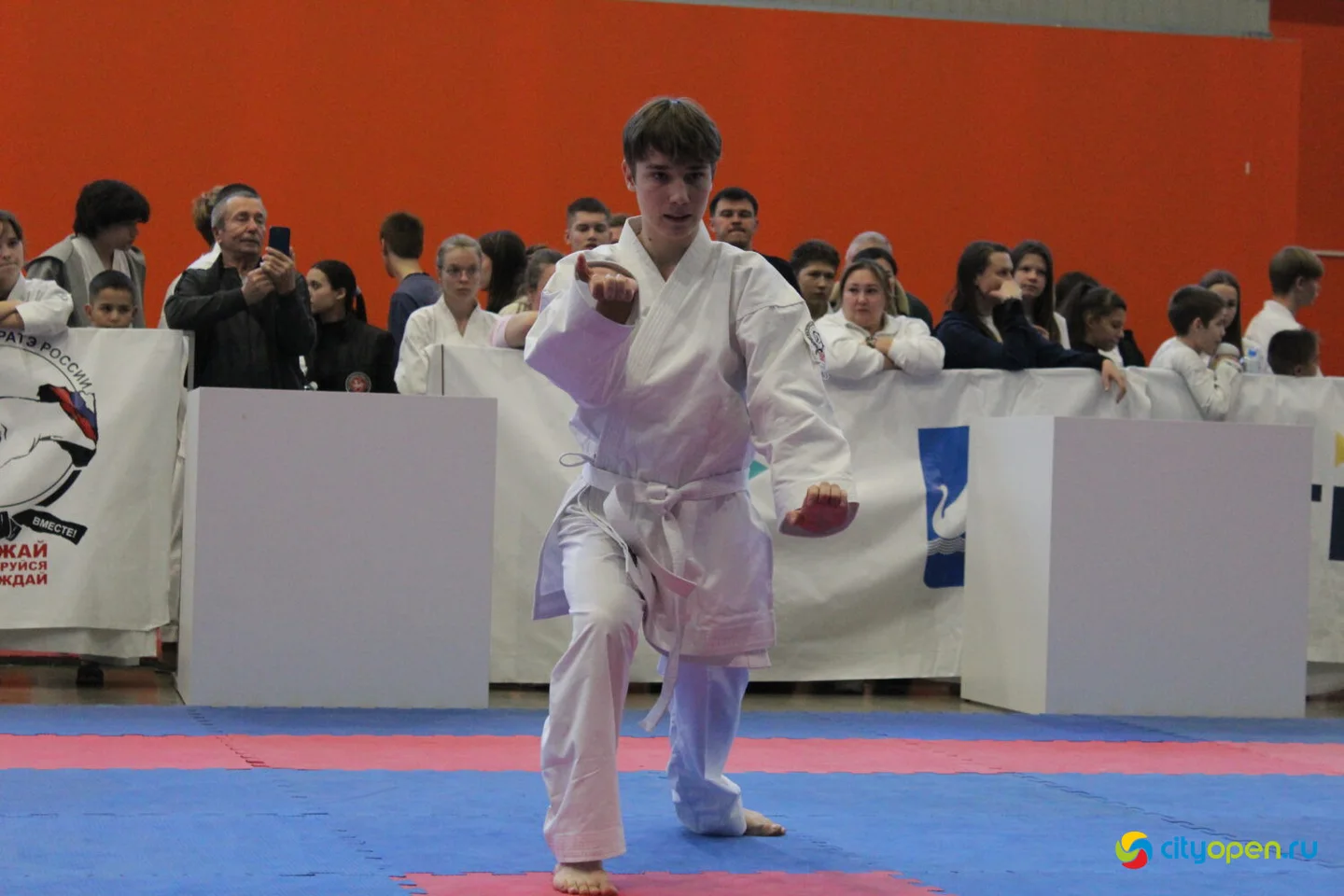 19/10/24 Всероссийские и Международные соревнования по всестилевому каратэ X EurAsiaCup