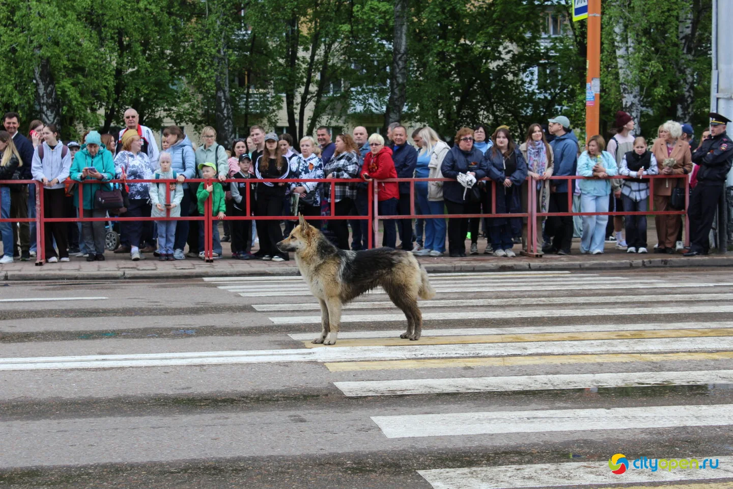 9/05/25 День Победы в Стерлитамаке | утренняя и дневная программы