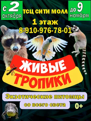 Рекламное размещение Cityopen