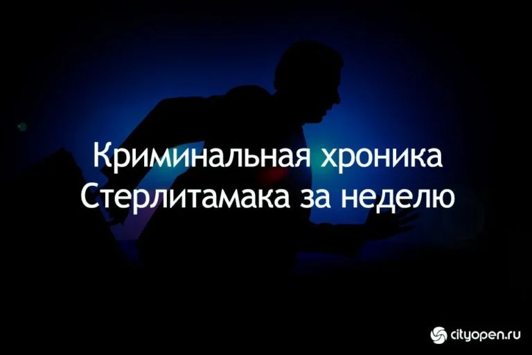 В полиции города за прошедшую неделю зарегистрировано 1172 заявления и сообщения о происшествиях.