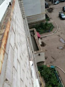 В Стерлитамаке собаку выкинули из окна. Полиция проводит проверку