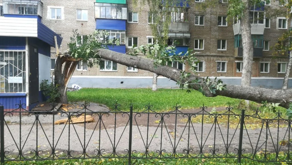 В Стерлитамаке бушует ураган: валяются деревья и мусорные площадки, сносит крыши