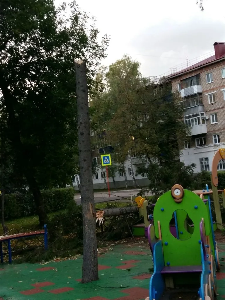 В Стерлитамаке из-за урагана зафиксировано почти 40 ЧП