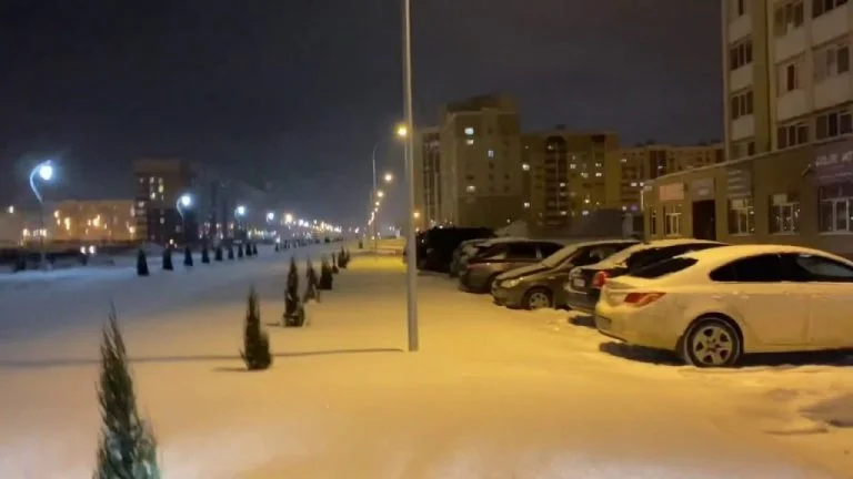В Стерлитамаке вандал срубил ель в центре города