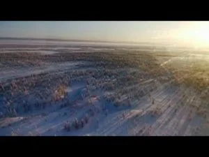 Проверка слуха: стая волков движется из Бурзяна?
