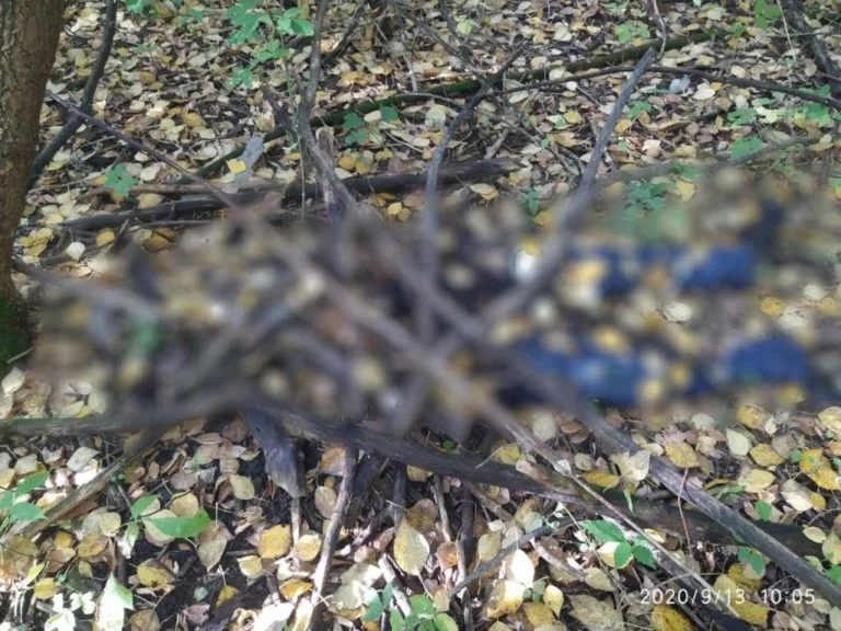 В Стерлитамаке спустя несколько месяцев нашли убийцу, зарезавшего знакомого