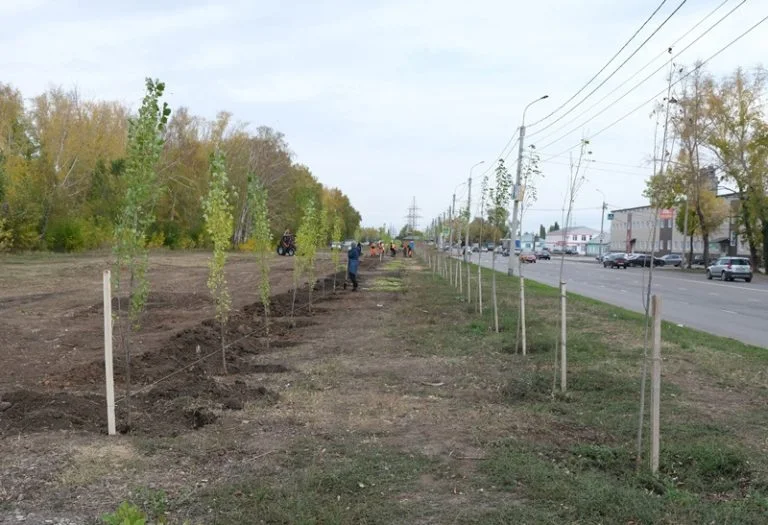 В Стерлитамаке высадили молодые сосны, рябины, ели