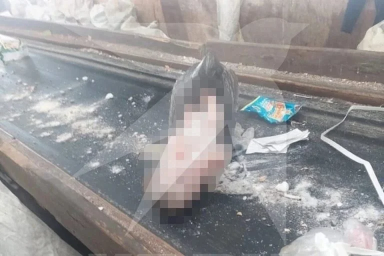 В Мелеузе на мусороперерабатывающем комплексе нашли тело младенца