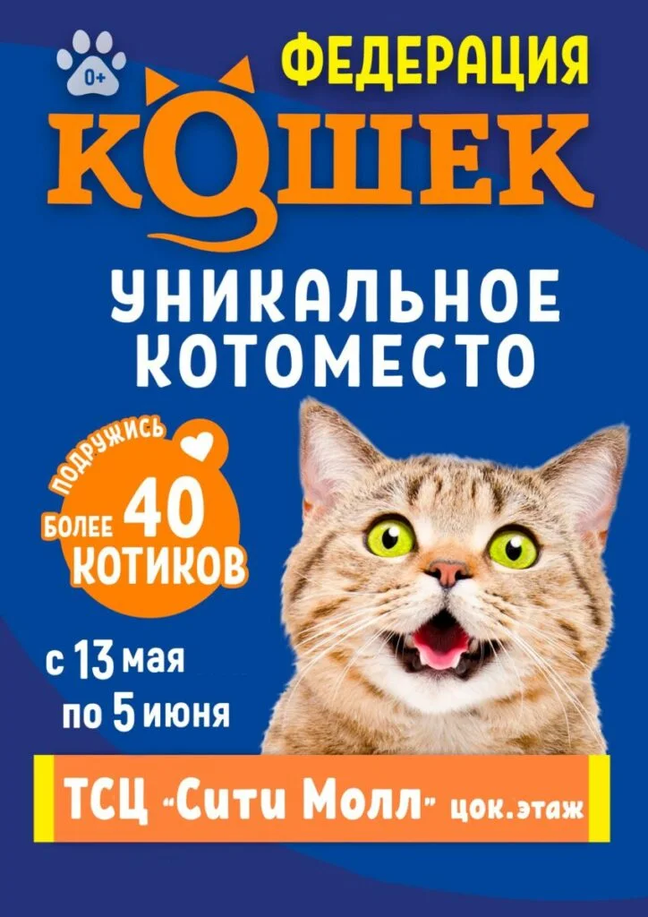 ФЕДЕРАЦИЯ КОШЕК