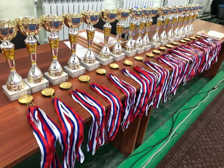 В Стерлитамаке прошёл открытый Республиканский турнир по самбо