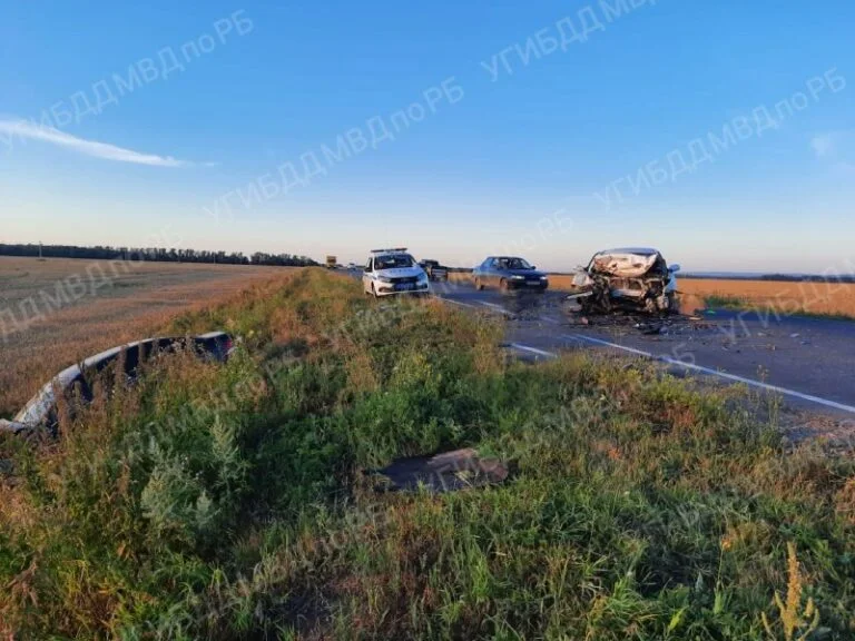 На дороге Стерлитамак-Красноусольский произошло смертельное ДТП, пострадали дети