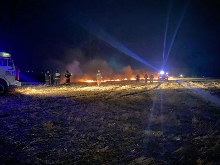 Возле Стерлитамака в селе Мариинский ночью горело поле