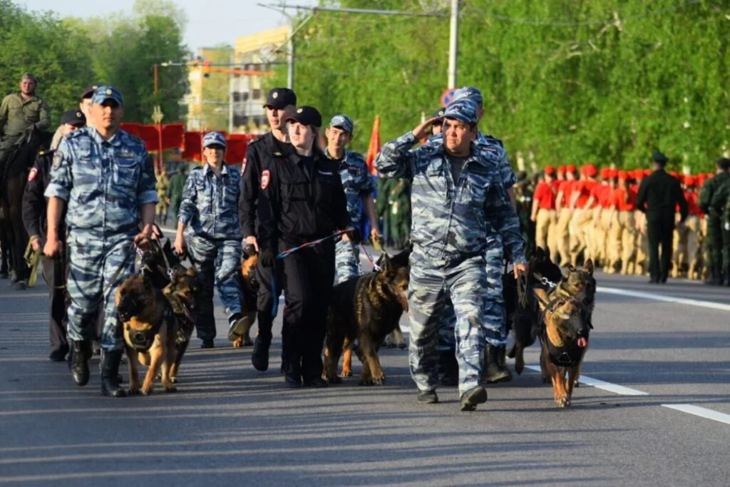 В Стерлитамаке в шествии на День Победы примут участие конные всадники и служебные собаки