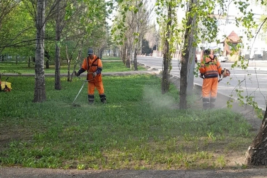 «Варварство» и «безобразие»: в Стерлитамаке между жителями и администрацией разгорелся спор