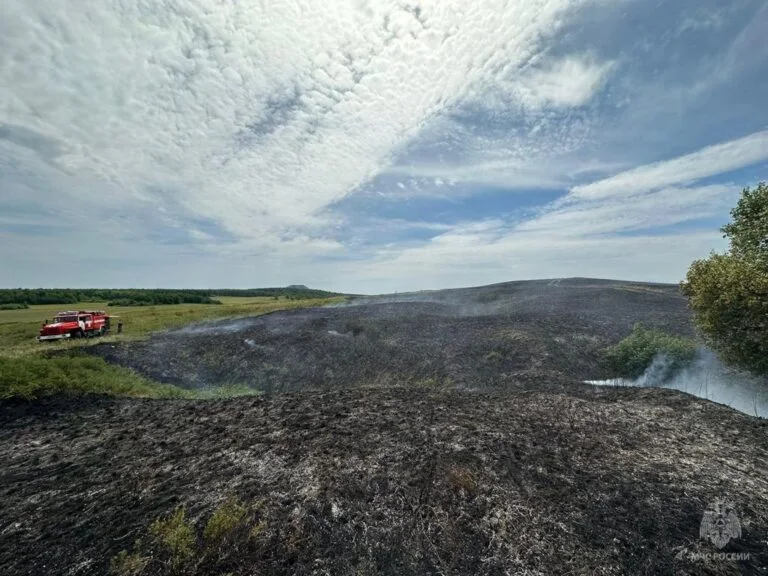 Недалеко от шихана Торатау в поле горит трава