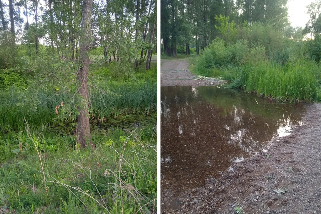 В Стерлитамаке пока не планируют расчищать реку Ольховку