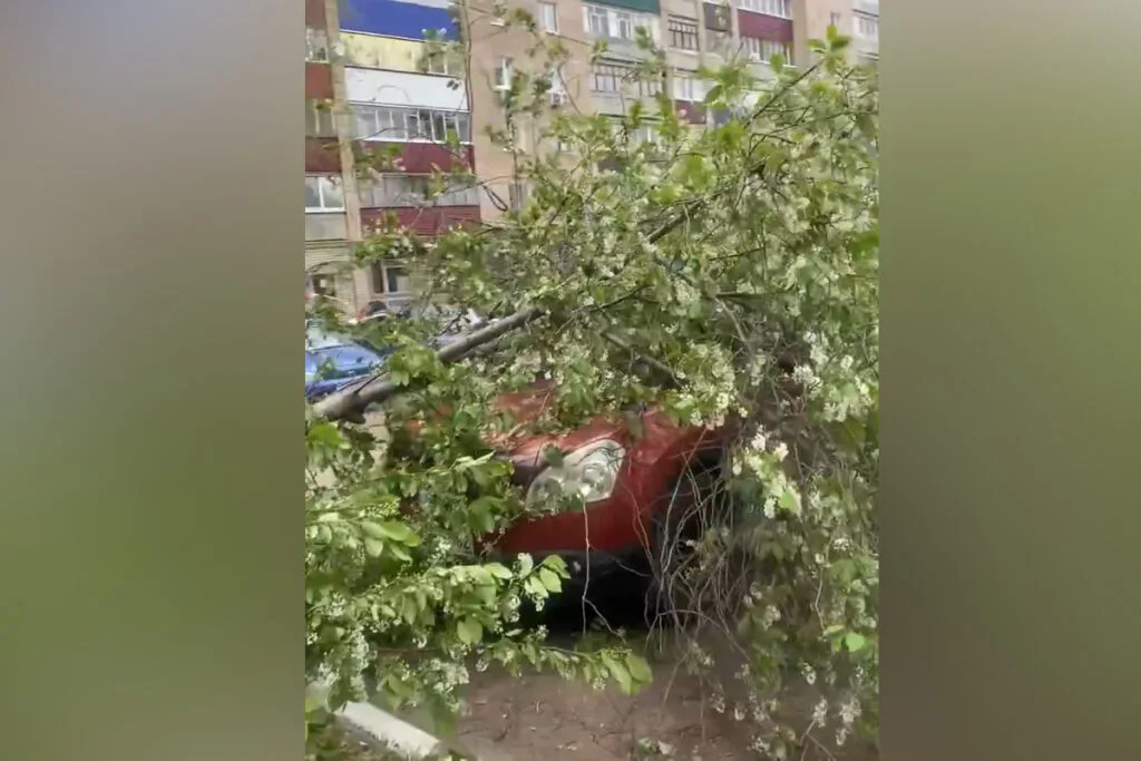 В Стерлитамаке сильный ветер повалил за день 61 дерево
