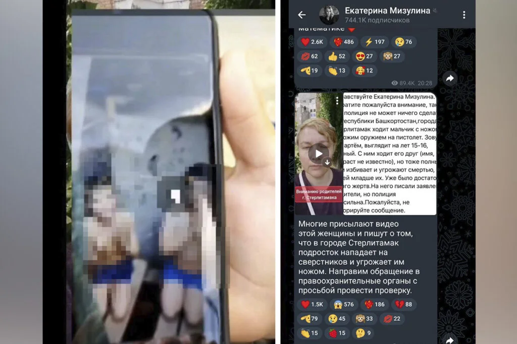 Инцидент с подростком, издевающимся над детьми в Стерлитамаке, попал в поле зрения Екатерины Мизулиной