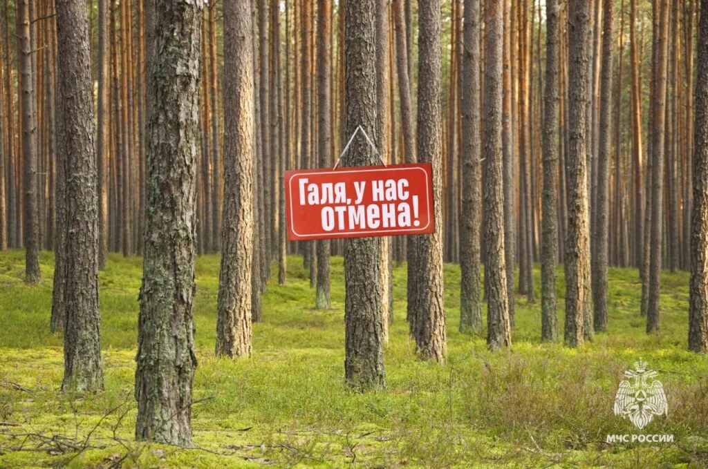 В Башкирии отменили особый противопожарный режим