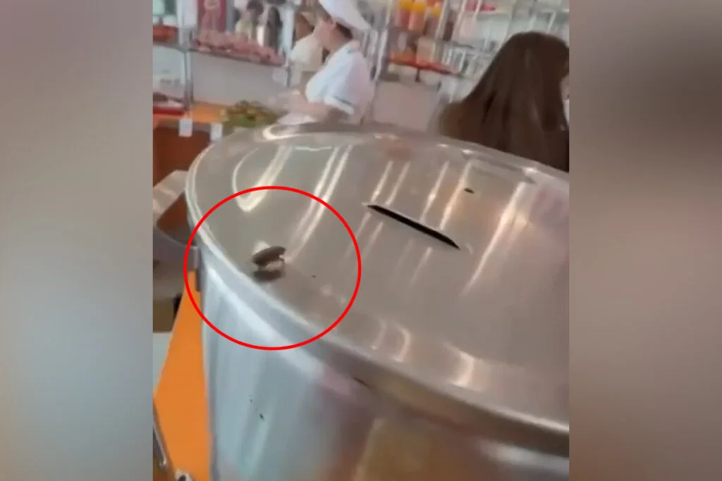 В Стерлитамаке в школьной столовой засняли таракана: комментарий Роспотребнадзора