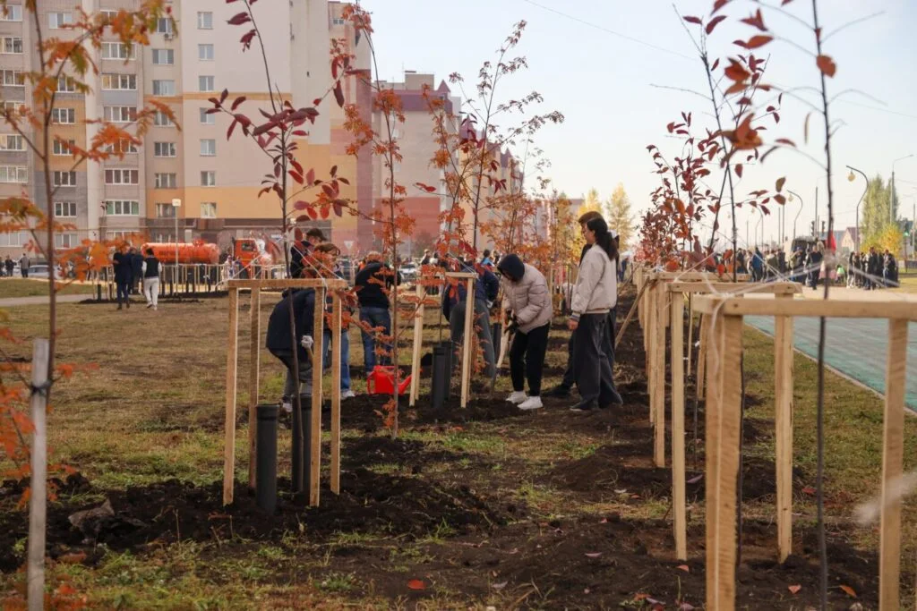 В Стерлитамаке за осень высадили 220 деревьев и более 300 кустов