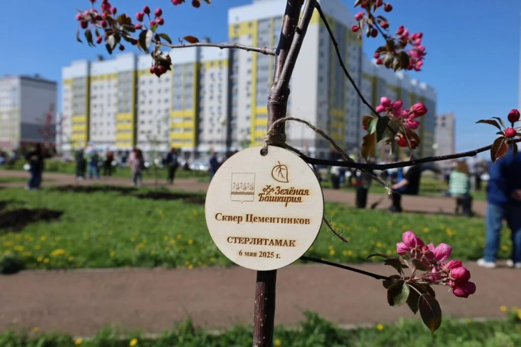 Яблони, клены, липы: в Стерлитамаке высадили Сквер цементников