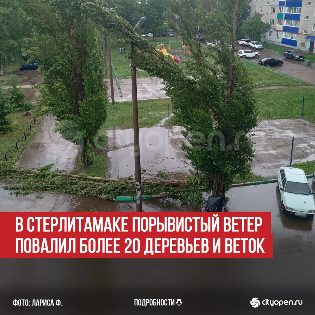 В Стерлитамаке порывистый ветер повалил более 20 деревьев и веток