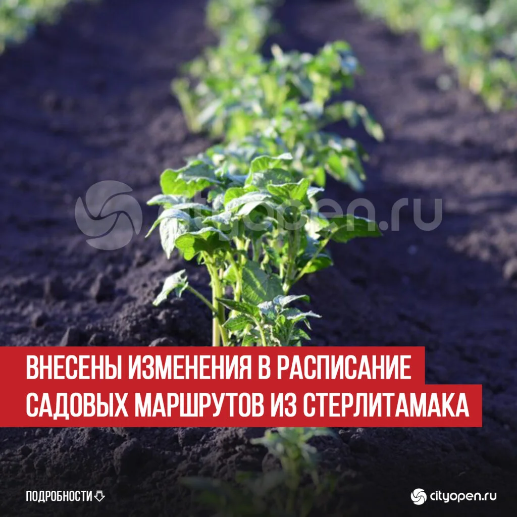 Внесены изменения в расписание садовых маршрутов из Стерлитамака