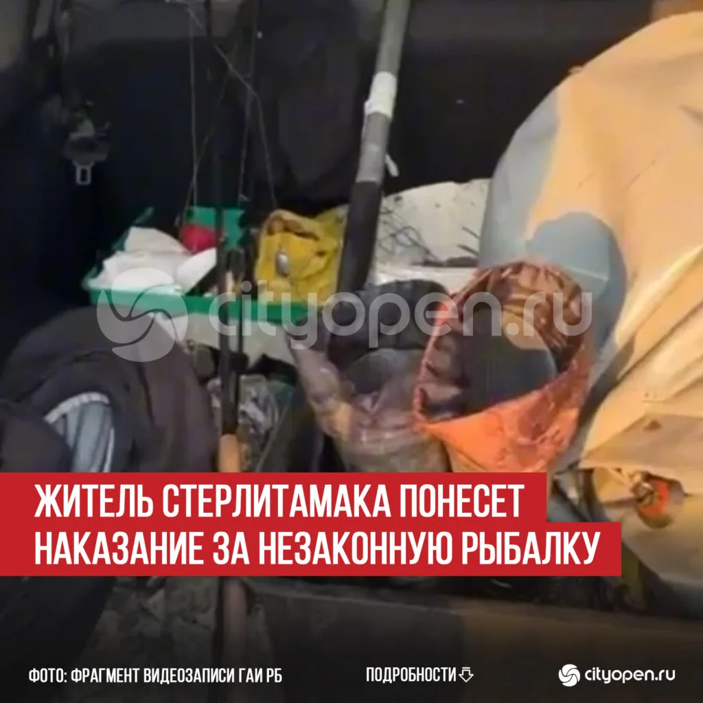 Житель Стерлитамака понесет наказание за незаконную рыбалку