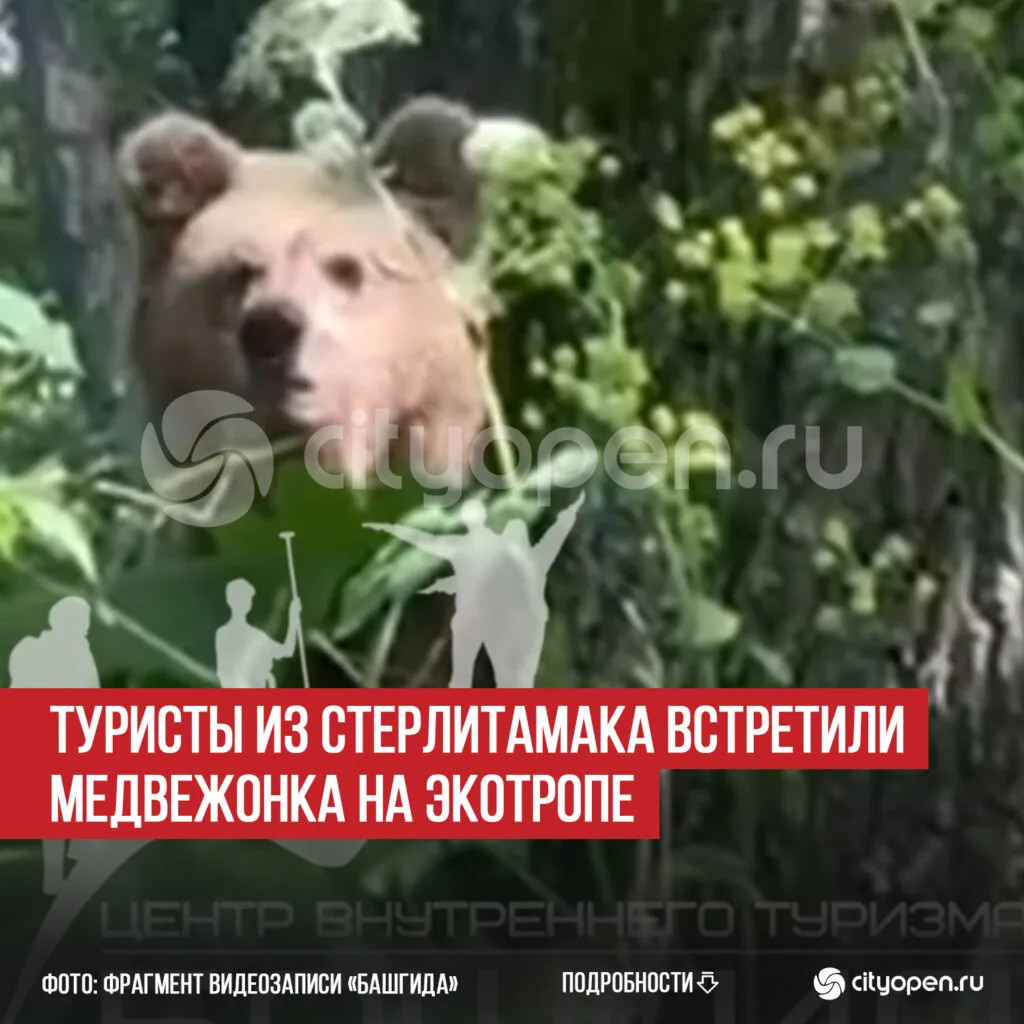 Туристы из Стерлитамака встретили медвежонка на экотропе