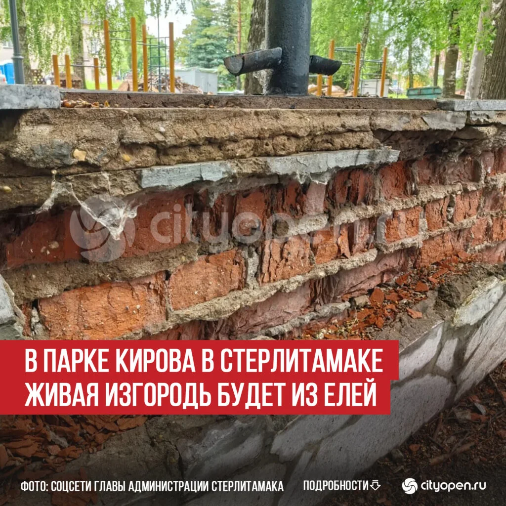 В парке Кирова в Стерлитамаке живая изгородь будет из елей
