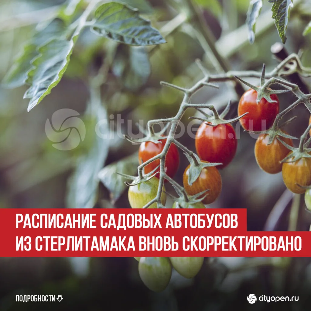 Расписание садовых автобусов из Стерлитамака вновь скорректировано